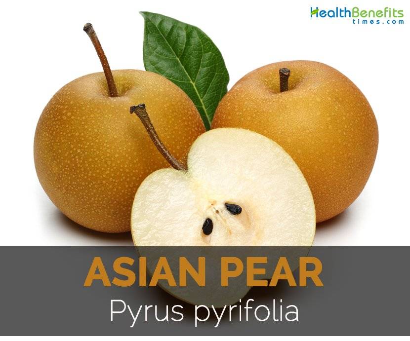 Asian pear varities