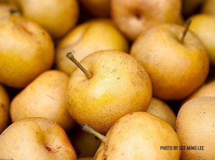 Asian pear varities